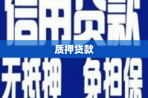 武鸣质押贷款
