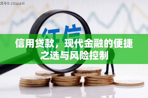 武鸣信用贷款，现代金融的便捷之选与风险控制
