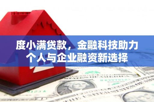 武鸣度小满贷款，金融科技助力个人与企业融资新选择