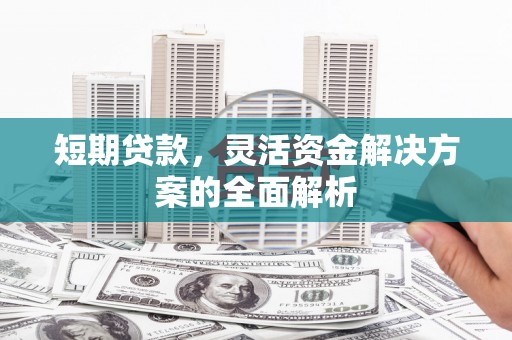 武鸣短期贷款，灵活资金解决方案的全面解析
