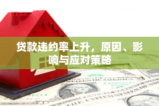 武鸣贷款违约率上升，原因、影响与应对策略