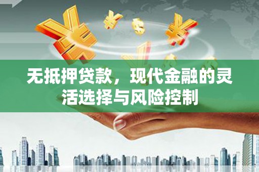 武鸣无抵押贷款，现代金融的灵活选择与风险控制
