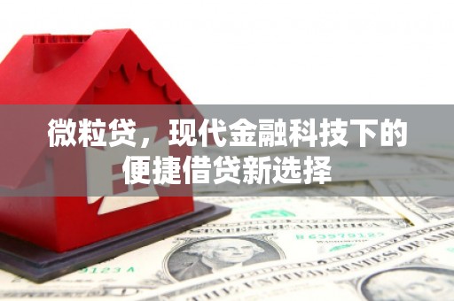 武鸣微粒贷，现代金融科技下的便捷借贷新选择