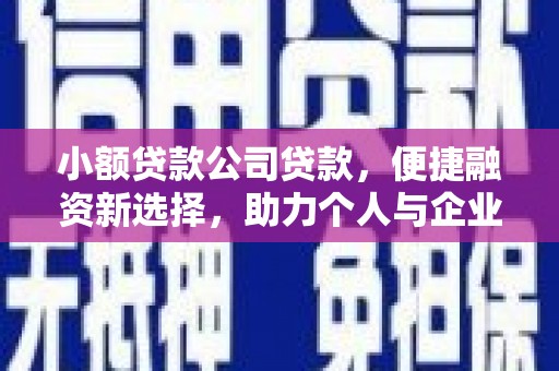 武鸣小额贷款公司贷款，便捷融资新选择，助力个人与企业成长