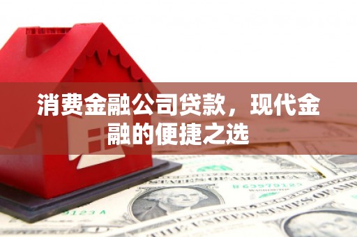 武鸣消费金融公司贷款，现代金融的便捷之选