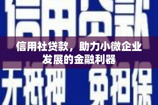 武鸣信用社贷款，助力小微企业发展的金融利器