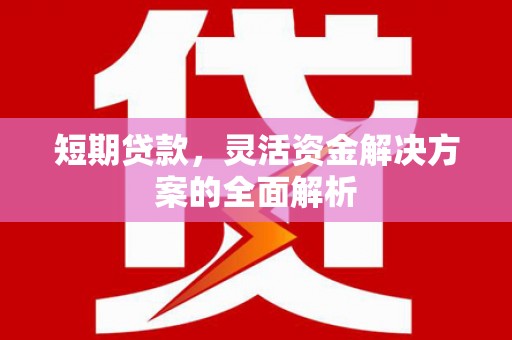 武鸣短期贷款，灵活资金解决方案的全面解析