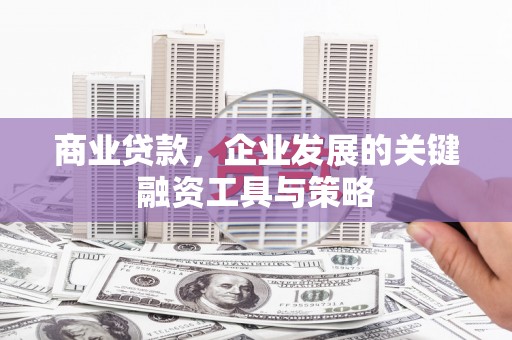 武鸣商业贷款，企业发展的关键融资工具与策略