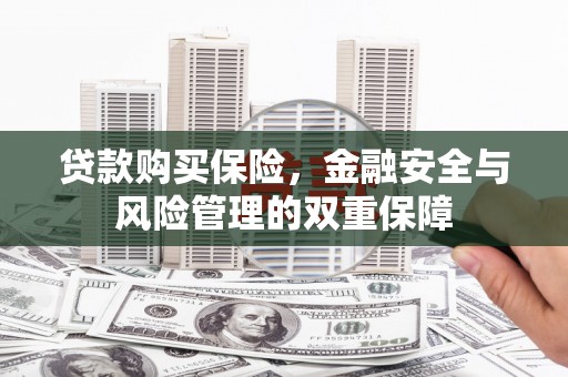 武鸣贷款购买保险，金融安全与风险管理的双重保障