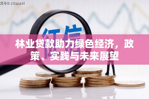 武鸣林业贷款助力绿色经济，政策、实践与未来展望