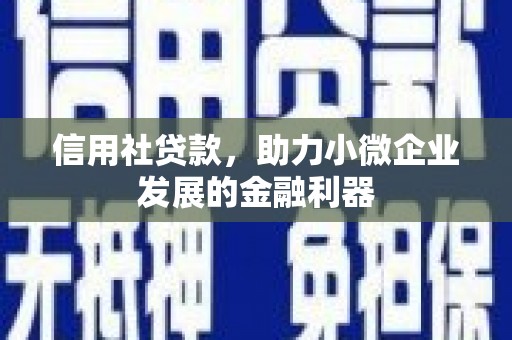 武鸣信用社贷款，助力小微企业发展的金融利器