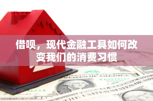 武鸣借呗，现代金融工具如何改变我们的消费习惯