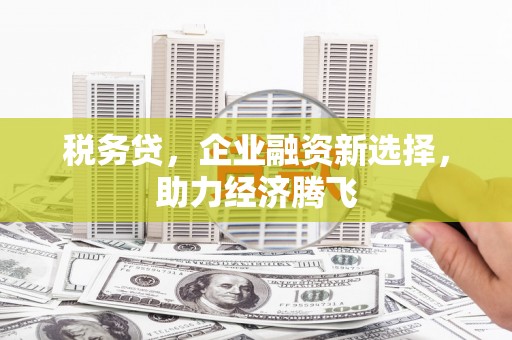 武鸣税务贷，企业融资新选择，助力经济腾飞