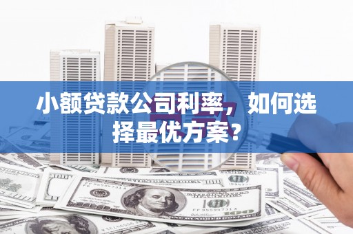 武鸣小额贷款公司利率，如何选择最优方案？