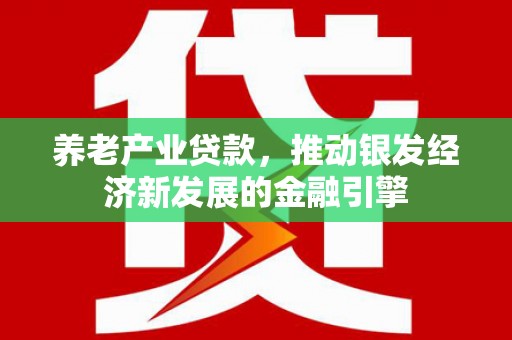 武鸣养老产业贷款，推动银发经济新发展的金融引擎