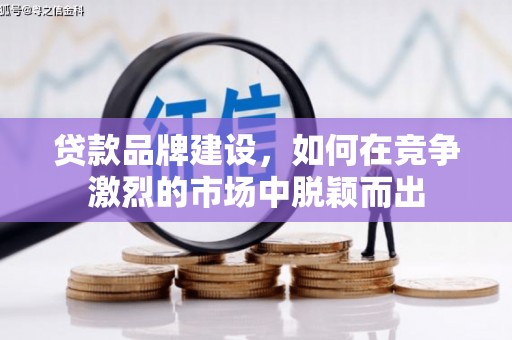 武鸣贷款品牌建设，如何在竞争激烈的市场中脱颖而出