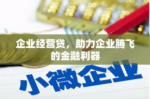 武鸣企业经营贷，助力企业腾飞的金融利器
