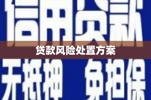 武鸣贷款风险处置方案