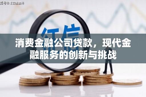 武鸣消费金融公司贷款，现代金融服务的创新与挑战