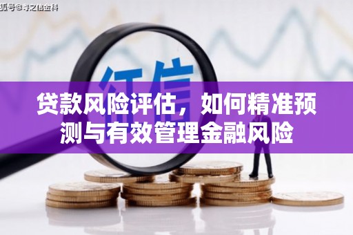 武鸣贷款风险评估，如何精准预测与有效管理金融风险