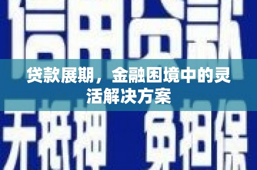 武鸣贷款展期，金融困境中的灵活解决方案