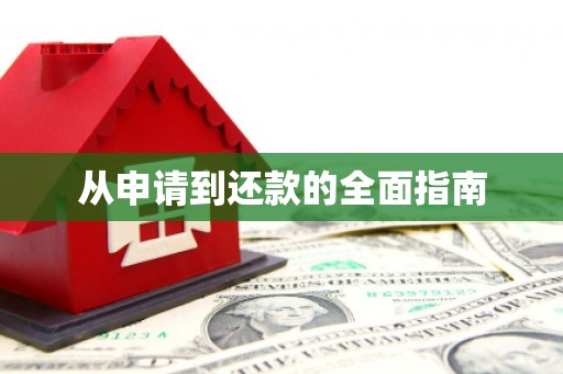 武鸣从申请到还款的全面指南