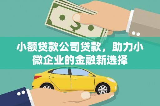 武鸣小额贷款公司贷款，助力小微企业的金融新选择