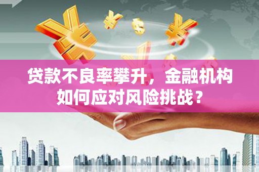 武鸣贷款不良率攀升，金融机构如何应对风险挑战？