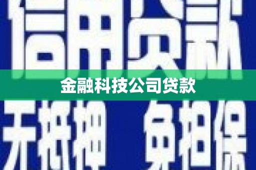 武鸣金融科技公司贷款