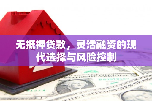 武鸣无抵押贷款，灵活融资的现代选择与风险控制