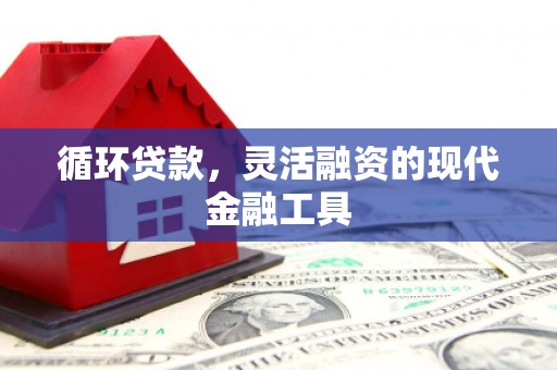 武鸣循环贷款，灵活融资的现代金融工具