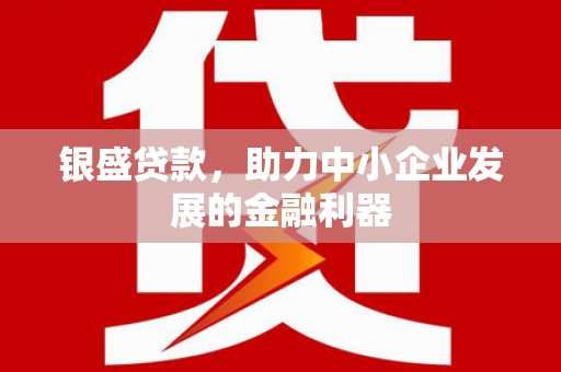 武鸣银盛贷款，助力中小企业发展的金融利器