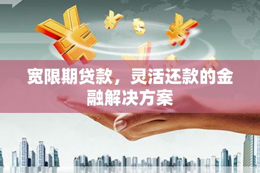 武鸣宽限期贷款，灵活还款的金融解决方案