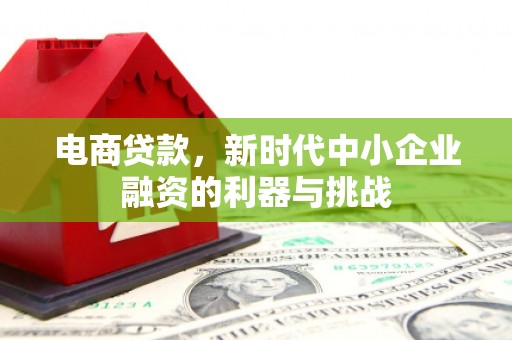 武鸣电商贷款，新时代中小企业融资的利器与挑战