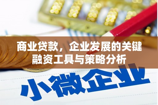 武鸣商业贷款，企业发展的关键融资工具与策略分析