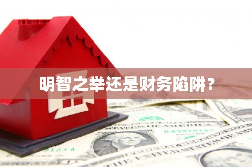 武鸣明智之举还是财务陷阱？