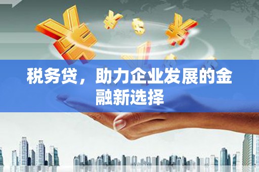 武鸣税务贷，助力企业发展的金融新选择