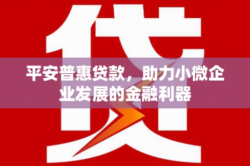 武鸣平安普惠贷款，助力小微企业发展的金融利器