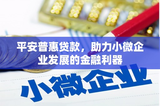 武鸣平安普惠贷款，助力小微企业发展的金融利器