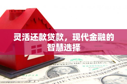 武鸣灵活还款贷款，现代金融的智慧选择