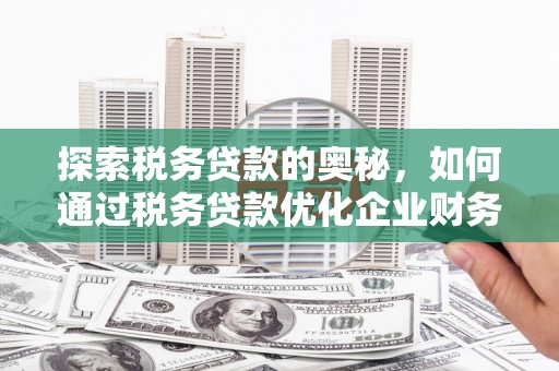 武鸣探索税务贷款的奥秘，如何通过税务贷款优化企业财务
