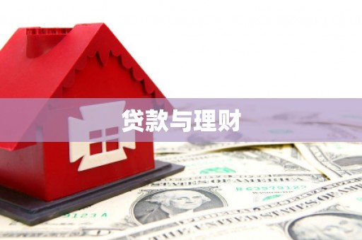 武鸣贷款与理财