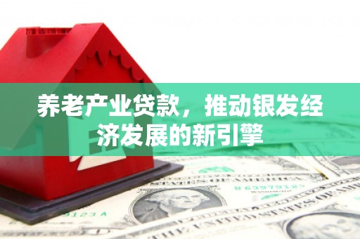 武鸣养老产业贷款，推动银发经济发展的新引擎