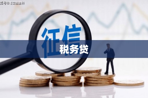 武鸣税务贷