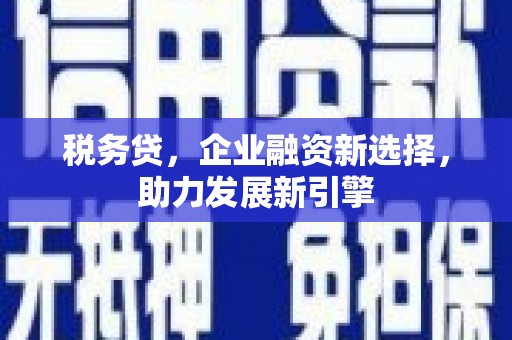 武鸣税务贷，企业融资新选择，助力发展新引擎