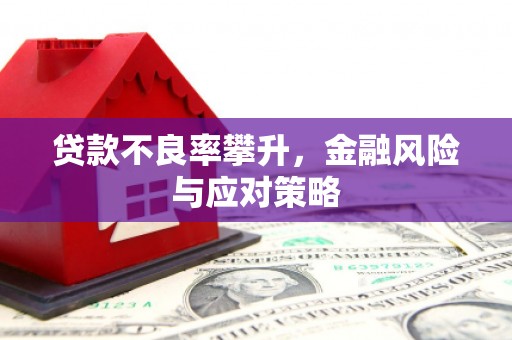 武鸣贷款不良率攀升，金融风险与应对策略