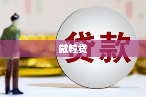 武鸣微粒贷