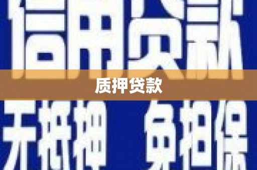 武鸣质押贷款