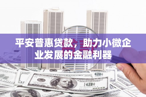 武鸣平安普惠贷款，助力小微企业发展的金融利器