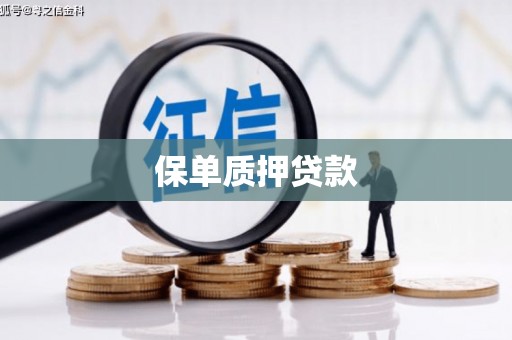 武鸣保单质押贷款